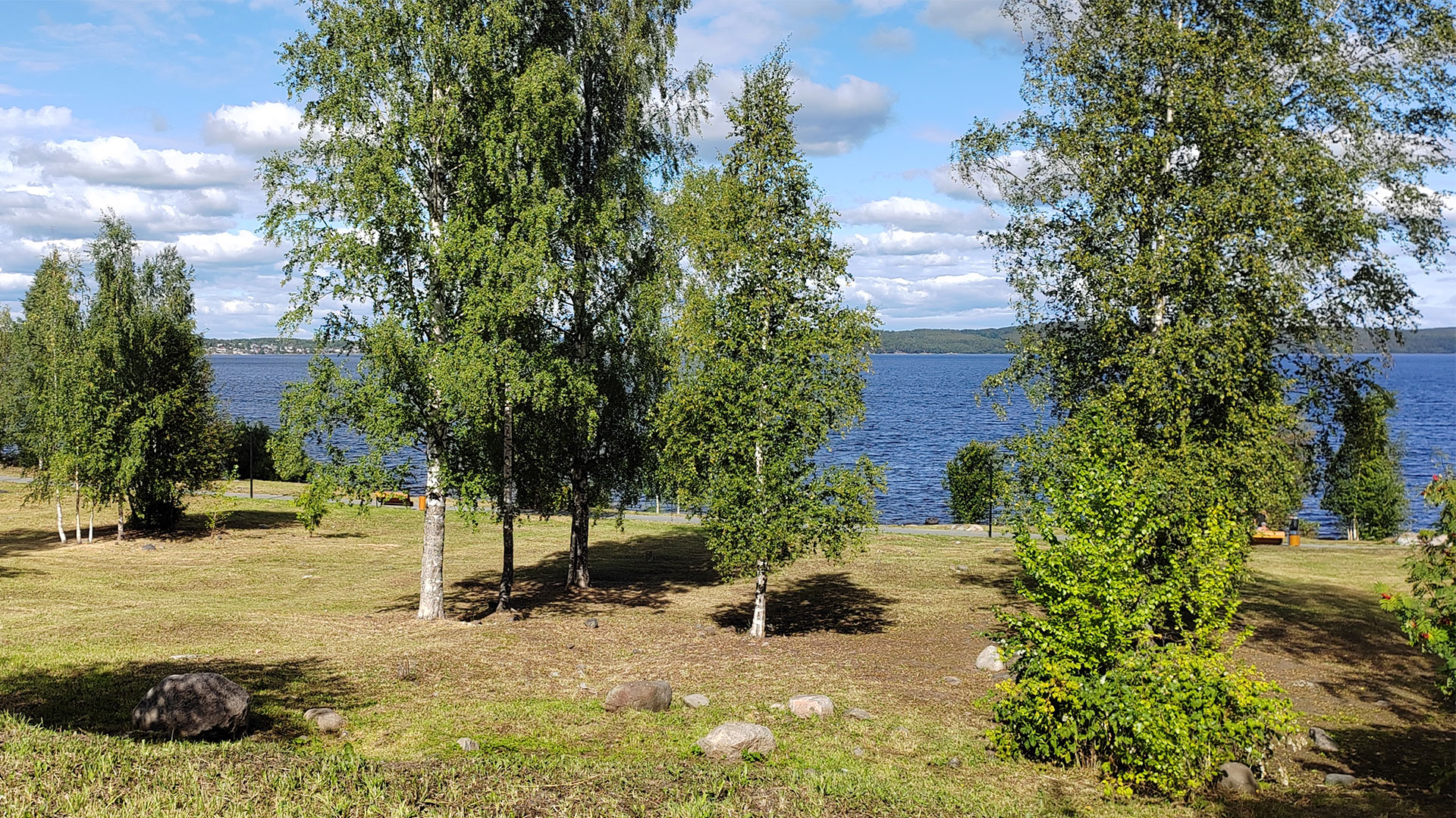 Зелёная зона с лужайками и деревьями на берегу водоёма.