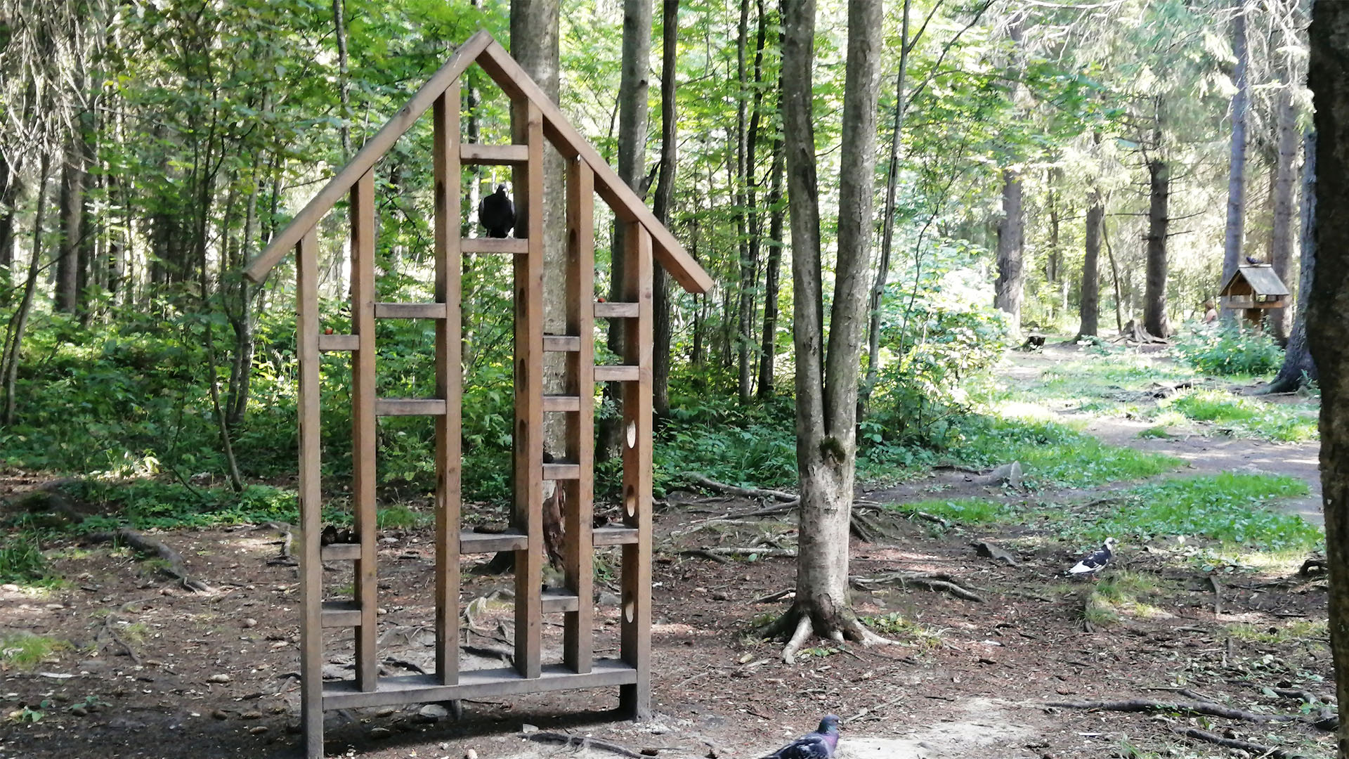 Деревянная кормушка для обитателей лесопарка стилизованная под домик. 