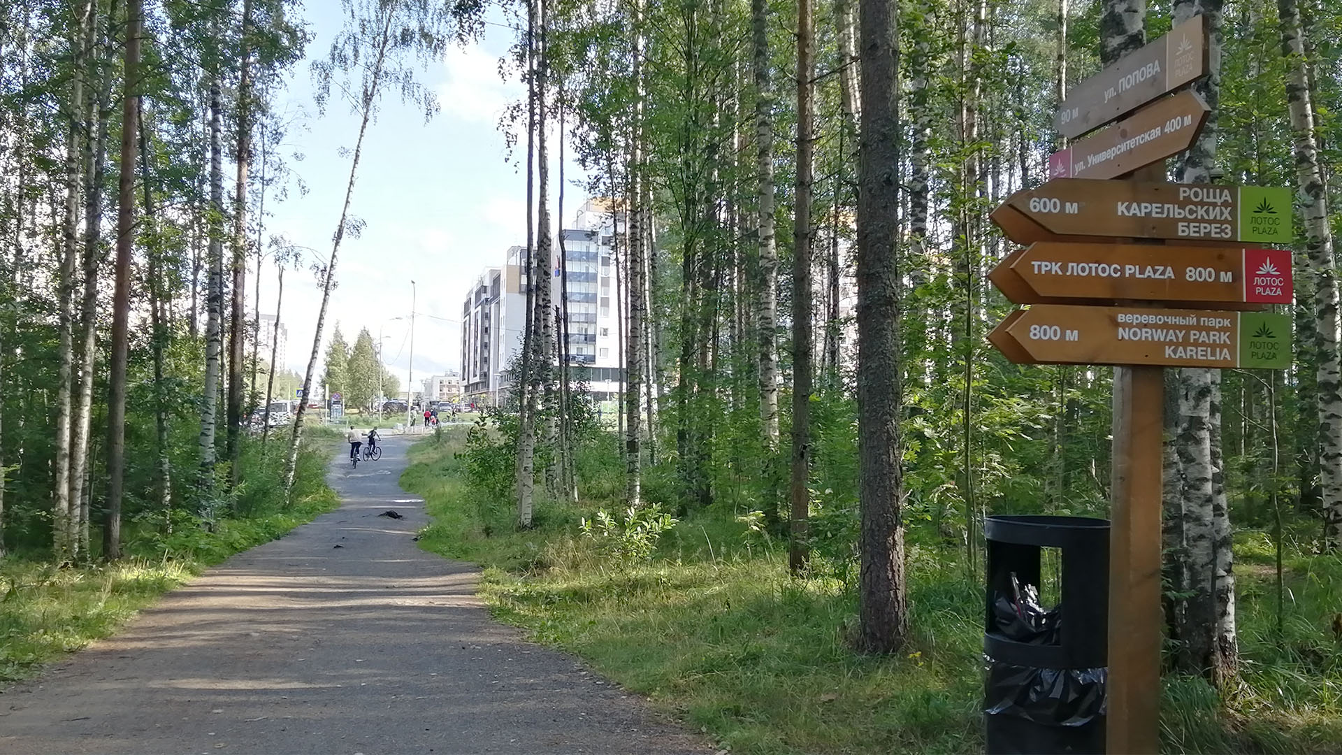 Аллея лесопарка выходящая в микрорайон «Древлянка» из парка «Патриот» в Петрозаводске.