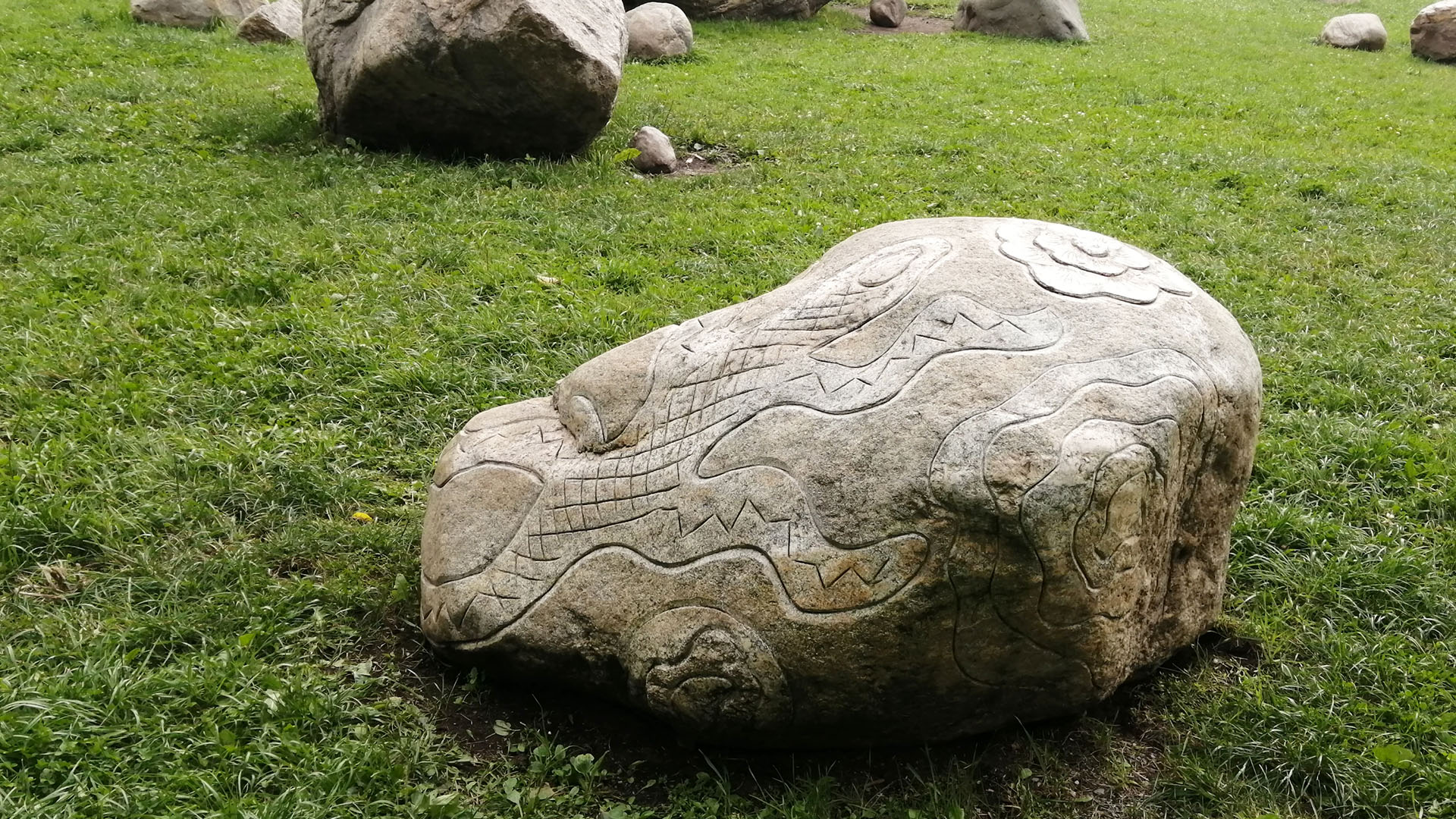 Камень с узором в виде ящерицы.