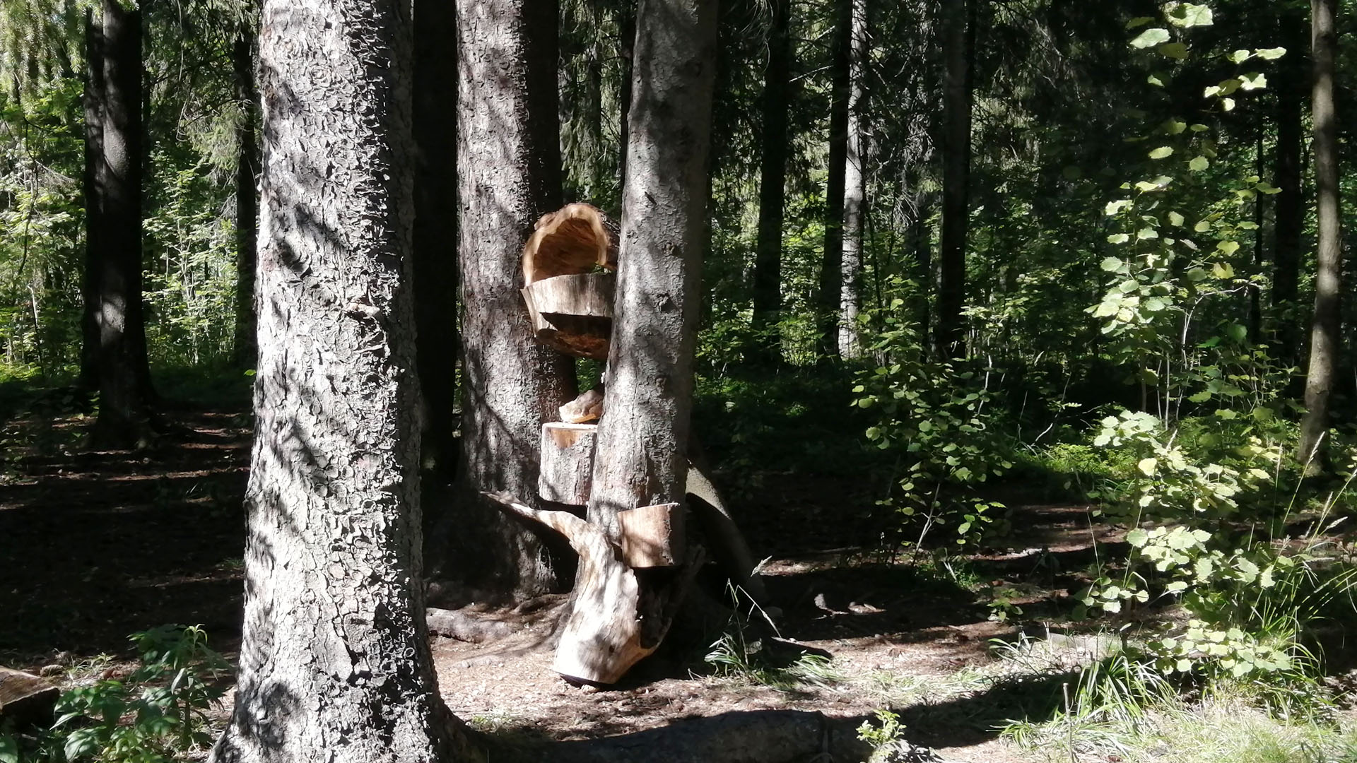 Инсталляция из чурок установленных между стволами деревьев.